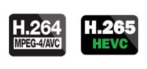 H.264 and H.265 HEVC